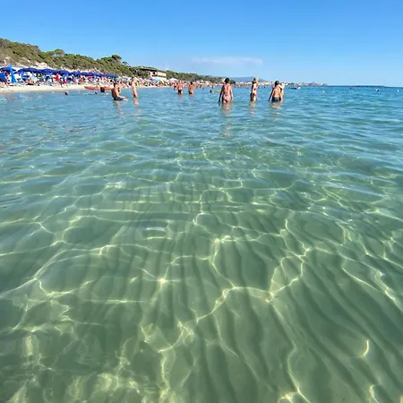 Isola Catalana アルゲーロ